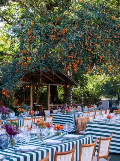 Jardines y Terrazas